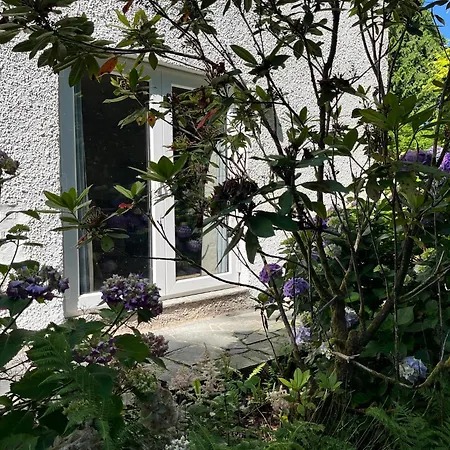 Little Shades - Bliss In The Heart Of Apartamento *
